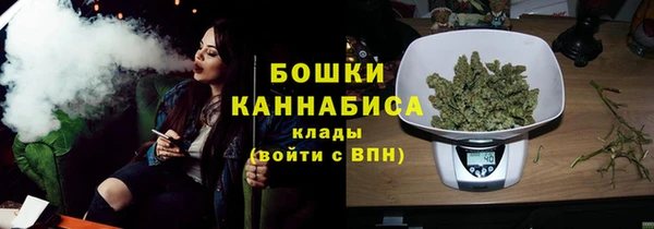 2c-b Пестово