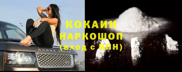 соль ск Почеп