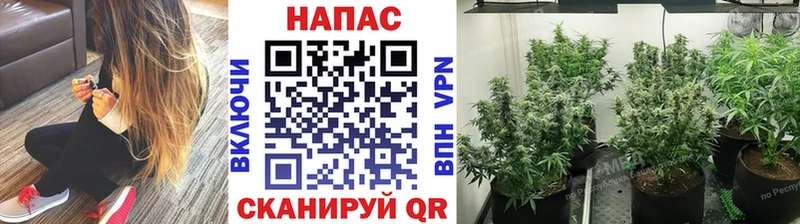 Бошки марихуана LSD WEED  купить  цена  Сурск 